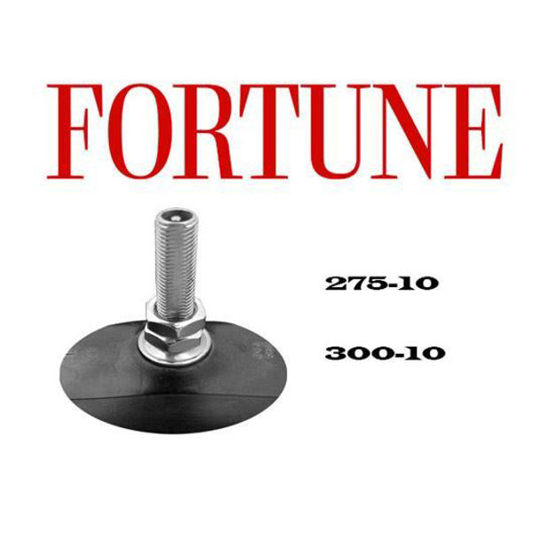 Imagen de Tubo R10 275/300-10 Fortune