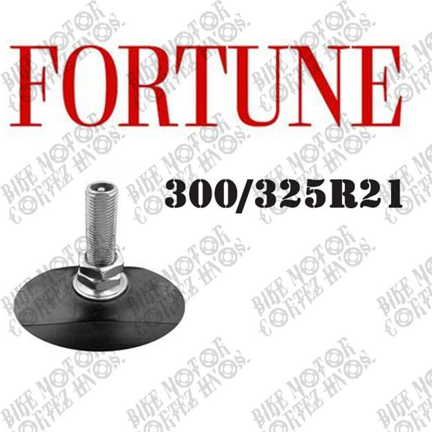 Imagen de Tubo R21 300/325-21 Fortune